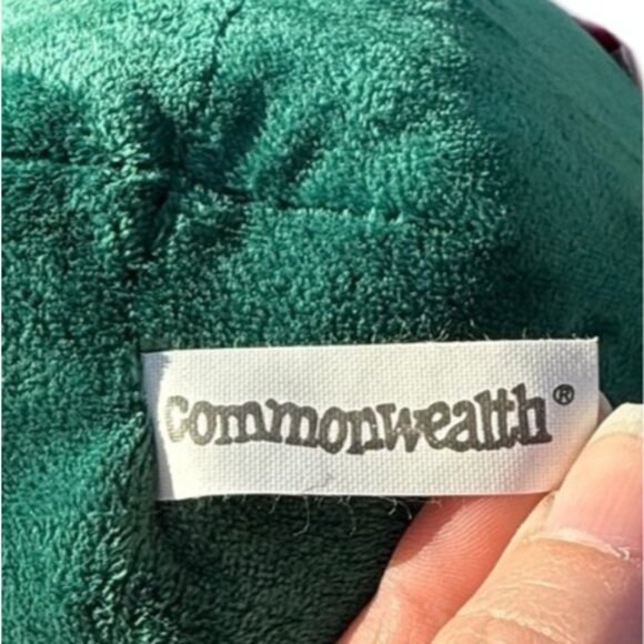 Commonwealth Target Valentine's Day Kiss Me You Fool Plush Stuffed Frog Toad - Picture 15 of 16